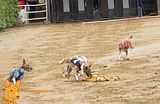 Deutsches Derby Hamburg 2014 (1010)